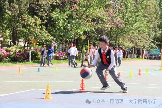 如何制定个性化的篮球技术训练计划_0